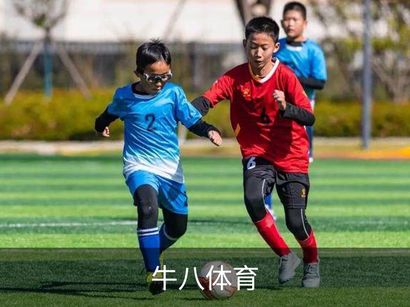 牛八体育介绍
